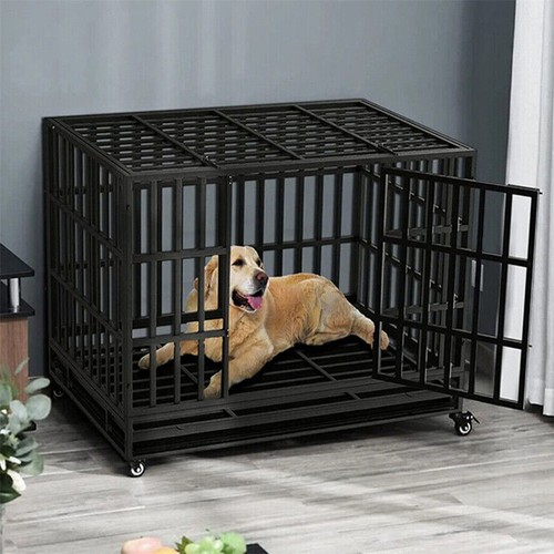 Indestructible dog crate - dog,