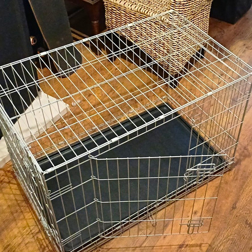 Folding steel wire dog - dog, cage