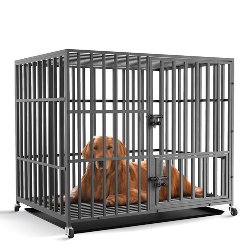 Jumbo strong rolling large dog - jumbo,
