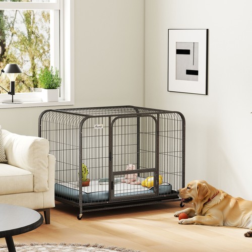 Heavy duty dog - duty,