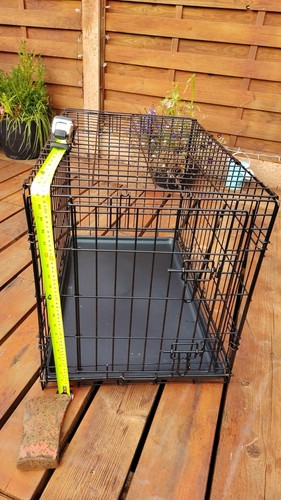 Folding metal dog - folding, crate
