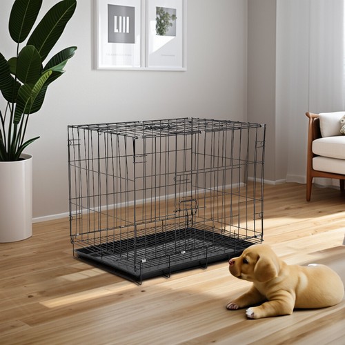 Small medium dog - dog, crate