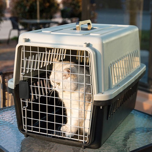 Large portable dog cat - large,