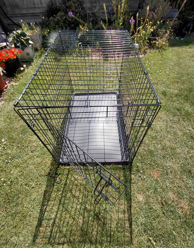 Folding metal dog - crate, cage