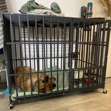 XXL XL Large Dog Crate Robust