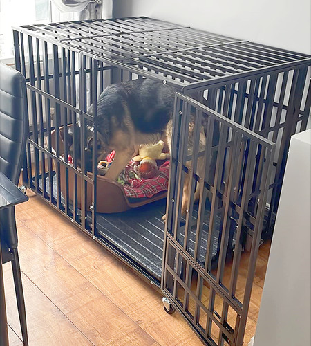 Heavy duty dog - crate, large