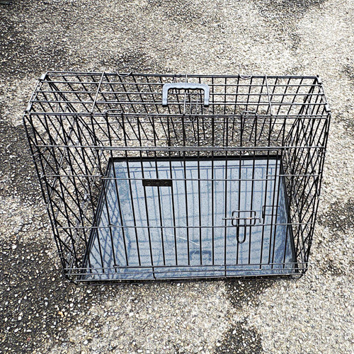 Steel wire standard - steel, dog