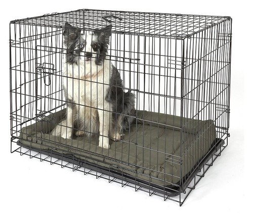 Double door dog crate - door,
