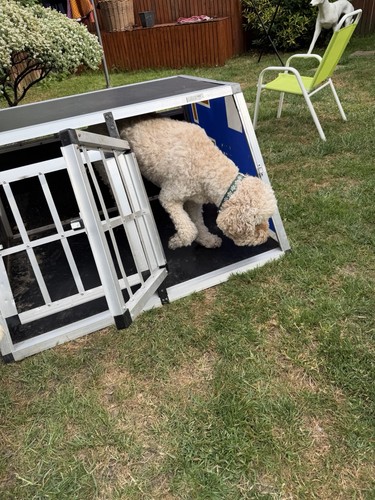Large aluminium dog crate - aluminium,