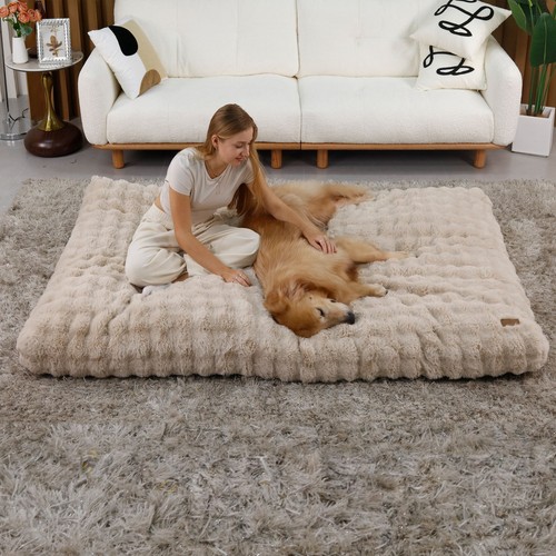 Dog bed soft - dog, cushion