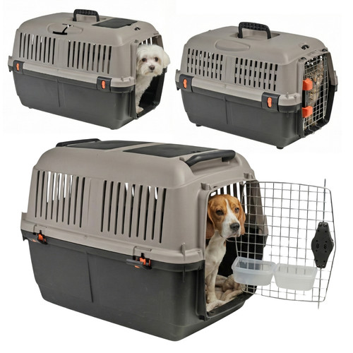 Iata approved dog cat - iata,