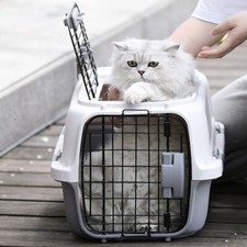 Large Dog/ Cat Carrier Box