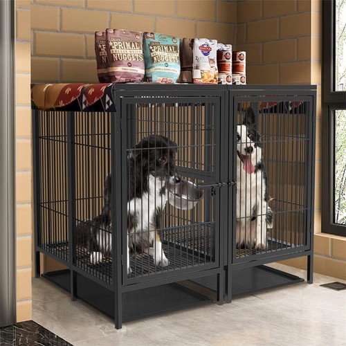 Jumbo xxl large - jumbo, dog