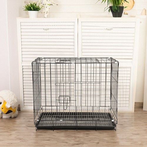 Black dog cage puppy training - dog,