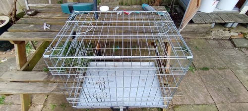Large folding dog crate - folding,