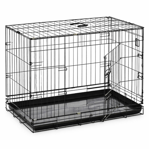 Dog cage puppy - dog, pet