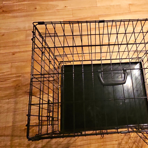 Black steel wire - wire, dog