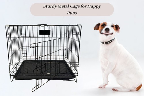 Dog cage puppy training - dog,