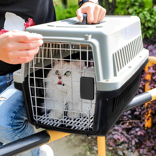 Extra large portable - extra, dog