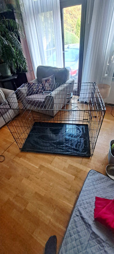 Folding metal wire dog - 42,