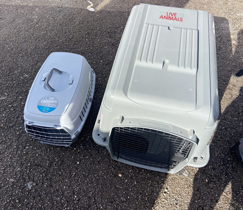 Grey plastic dog travel - plastic, crate